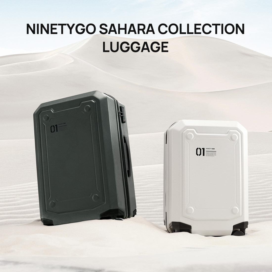 NINETYGO 20" Carry-On Luggage